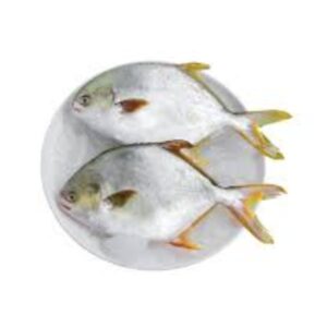 Golden Pomfret