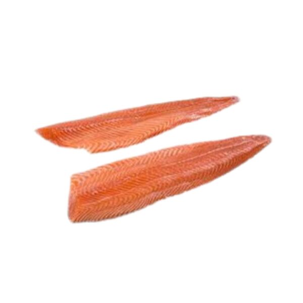Salmon
