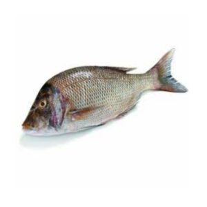 Emperor fish