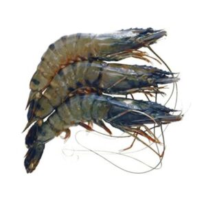 King Prawn