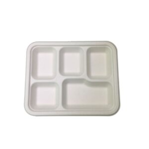 5CP Bagasse Plate (25 pack)