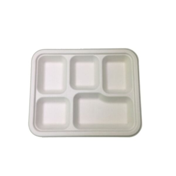 5CP Bagasse Plate (25 pack)