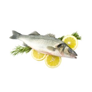 Sea Bass/ Koliji / Koduva / Kalanchi