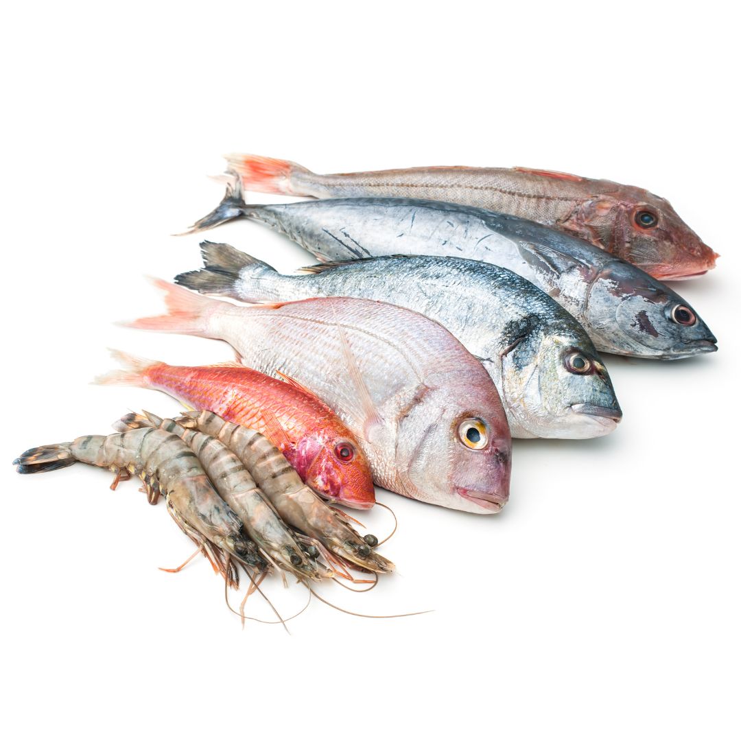 Sea Foods